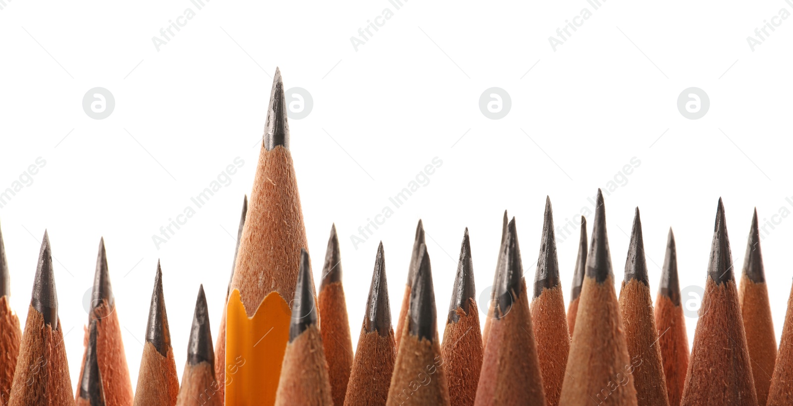 Photo of Many sharp graphite pencils isolated on white