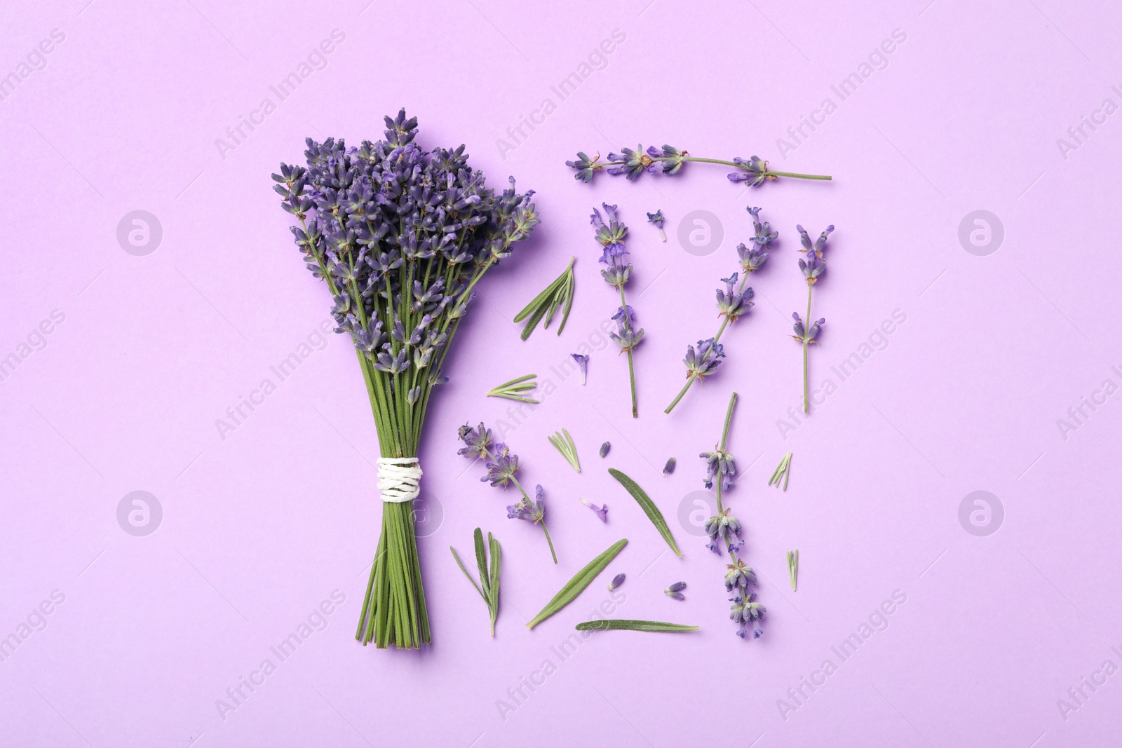 Photo of Beautiful lavender flowers on violet background, flat lay