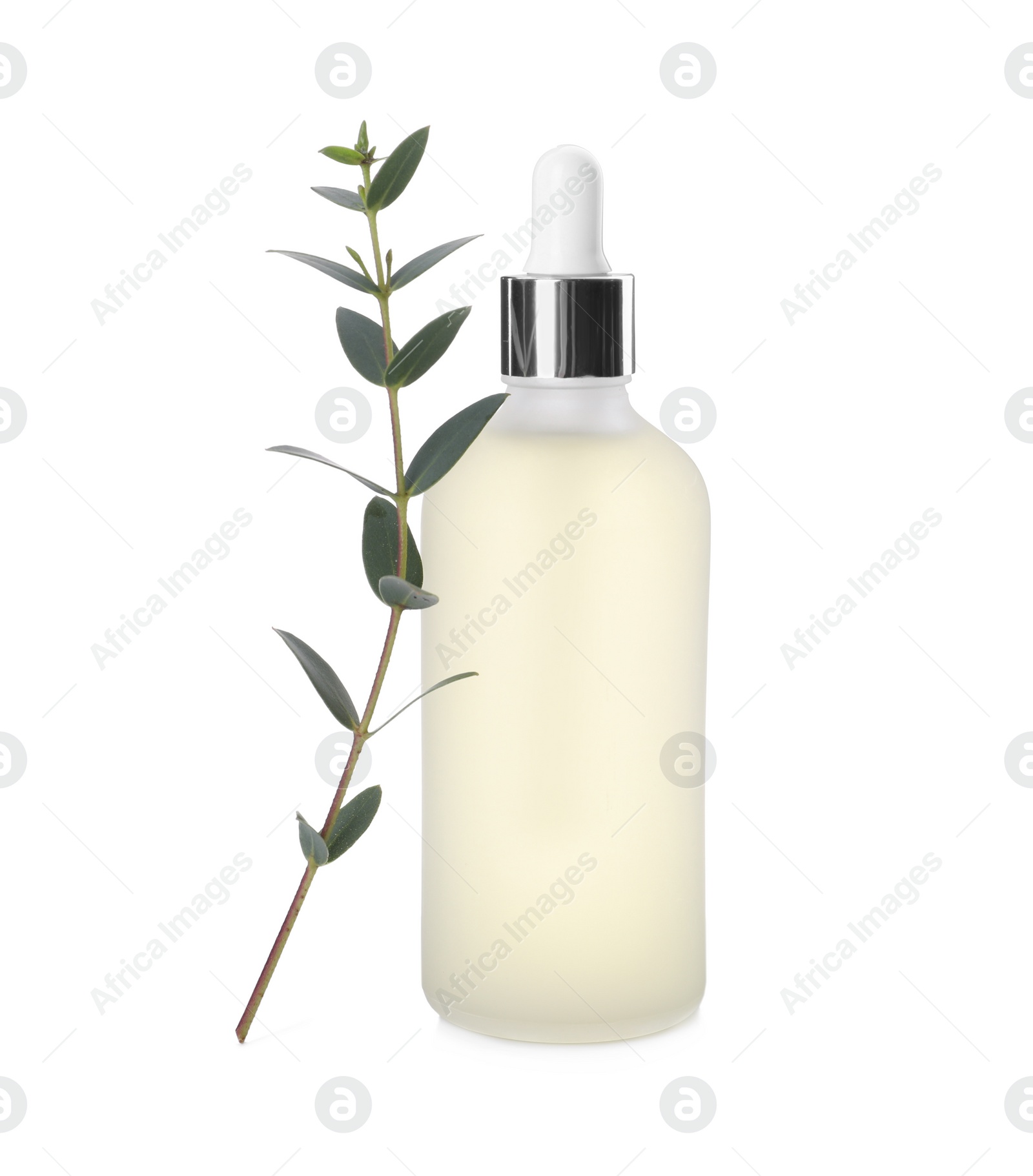 Photo of Bottle of hydrophilic oil and green branch on white background