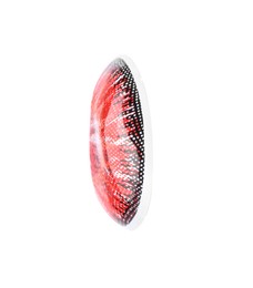 Photo of One red contact lens isolated on white