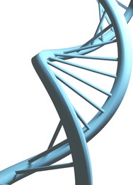 Illustration of Structure of DNA on white background. Illustration
