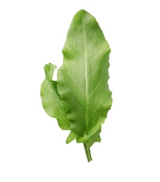 Fresh green sorrel leaves on white background, above view