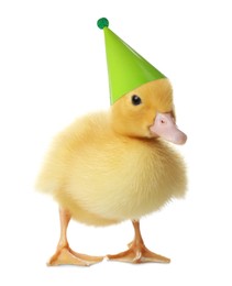 Image of Cute gosling with party hat on white background