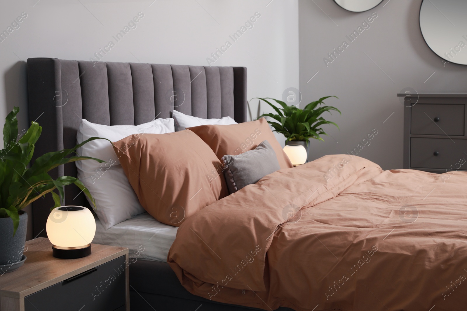 Photo of Stylish bedroom interior with comfortable bed and green houseplants