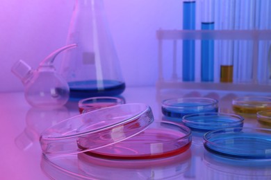 Photo of Petri dishes with different colorful samples on table, color toned