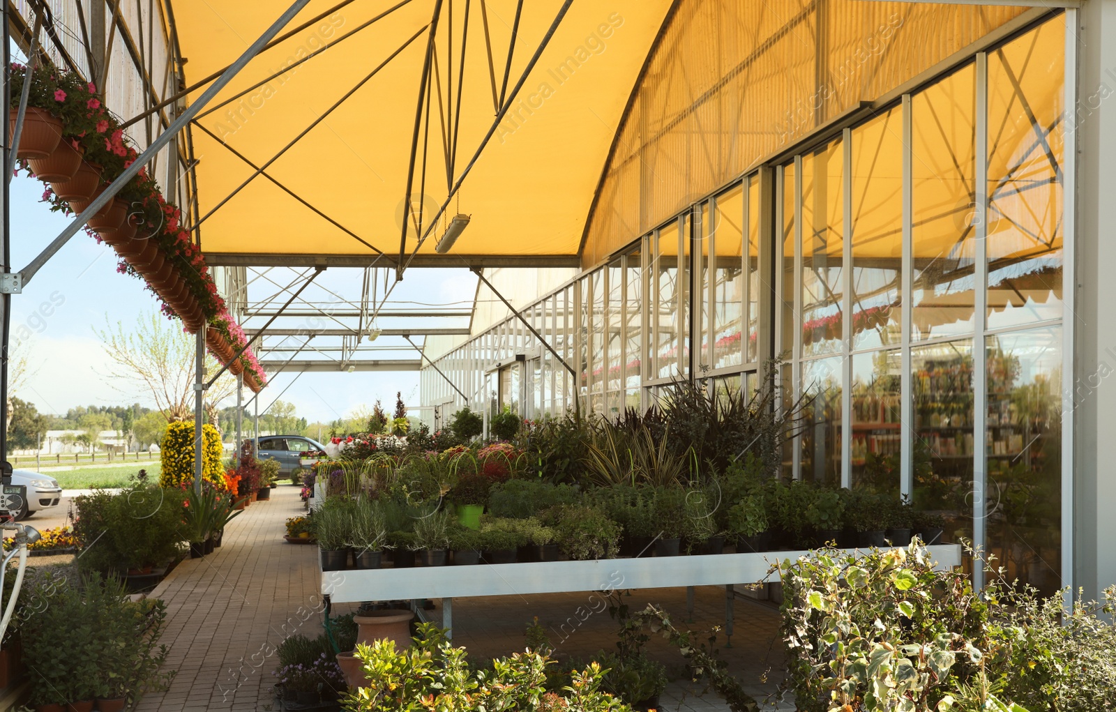 Photo of Many different potted plants near garden center