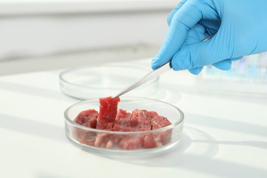 Photo of Scientist taking raw cultured meat out of Petri dish with tweezers at white table, closeup