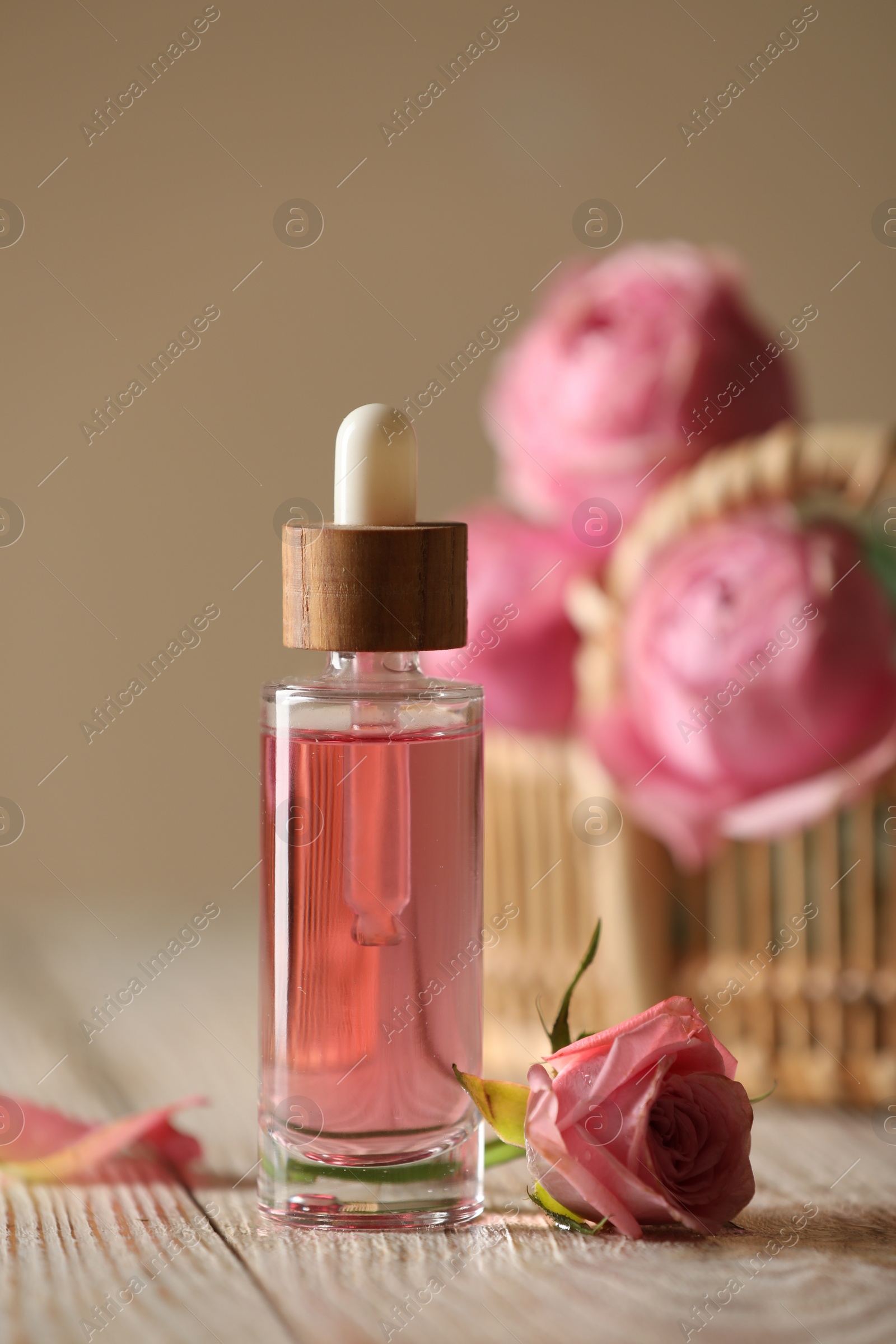 Photo of Bottle of essential rose oil and flowers on white wooden table against beige background