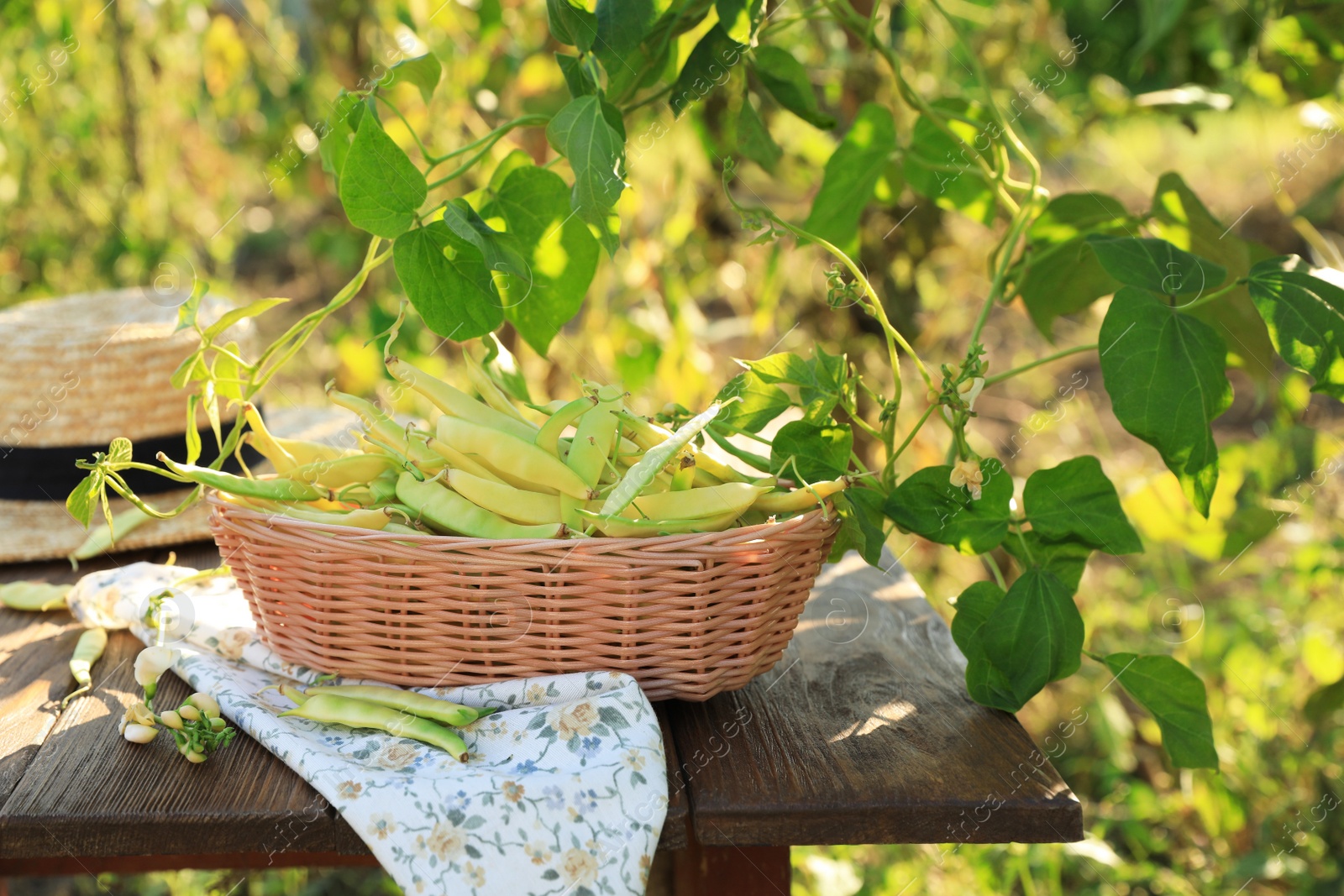 Photo of Wicker basket with fresh green beans on wooden table in garden