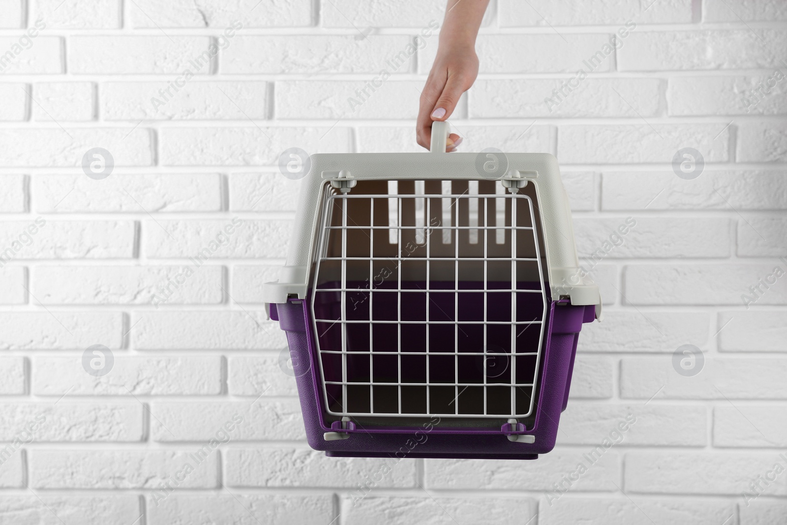 Photo of Woman holding violet pet carrier near white brick wall, closeup