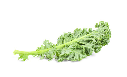 Photo of Fresh green kale leaf isolated on white