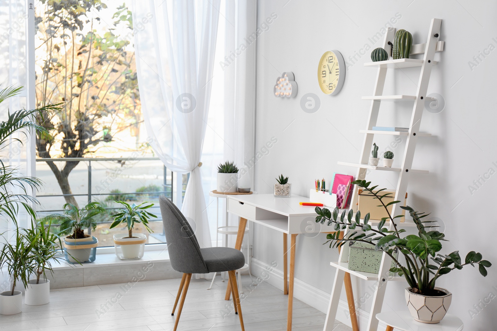 Photo of Stylish room interior with beautiful plants. Home design idea