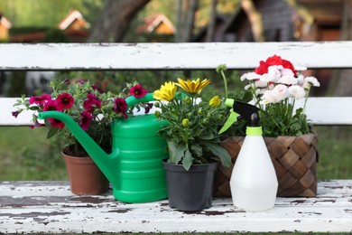 Photo of Beautiful blooming flowers, watering can and spray bottle on white wooden bench outdoors