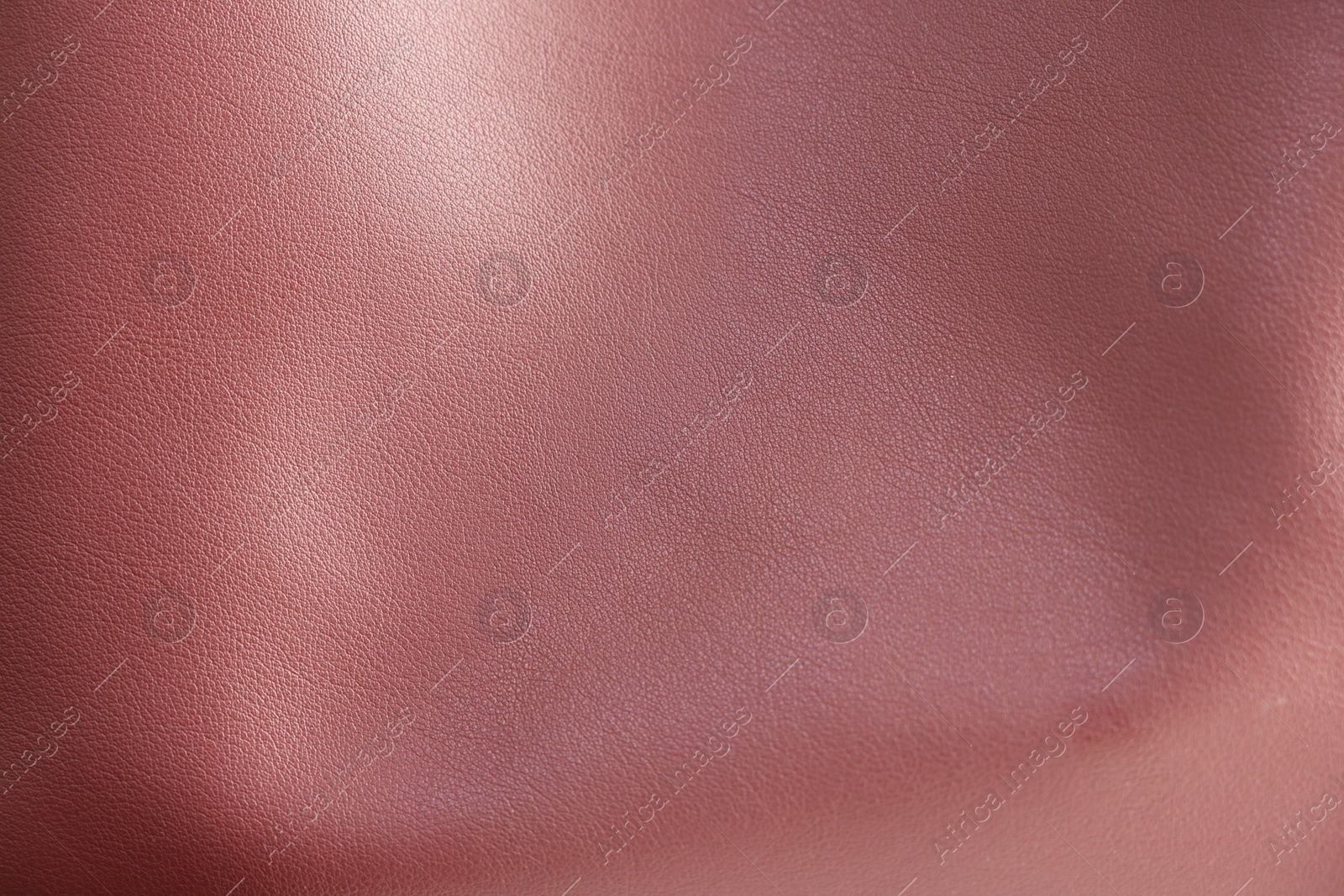 Photo of Texture of leather as background, closeup view