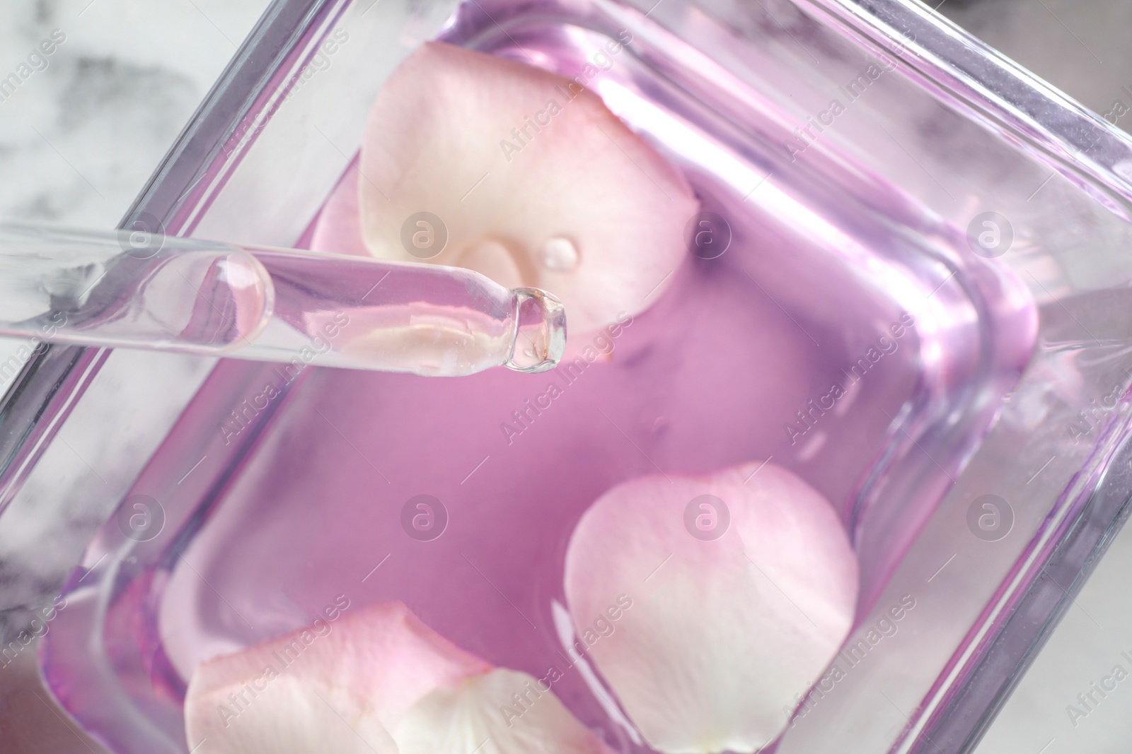 Photo of Dripping rose essential oil into glass bowl with petals on table, closeup