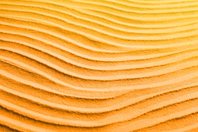 Dry beach sand as background, closeup view