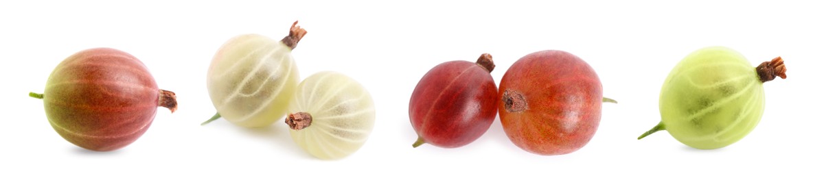 Image of Set with fresh ripe gooseberries on white background. Banner design