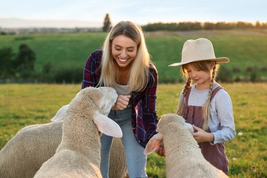Photo of Mother and daughter feeding sheep on pasture. Farm animals