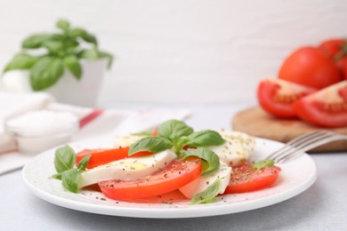 Photo of Plate of delicious Caprese salad with herbs on light grey table, closeup
