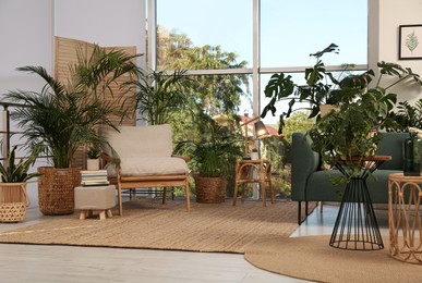 Stylish room interior with comfortable furniture and different exotic houseplants