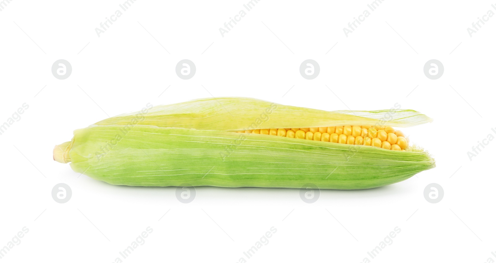 Photo of Ripe raw corn cob with husk isolated on white