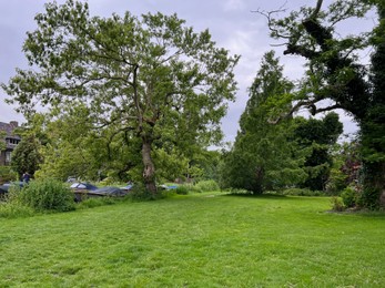 Beautiful view of park with green grass and trees