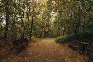 Photo of Many beautiful trees, benches and pathway in autumn park
