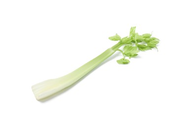 Photo of Fresh green celery stem isolated on white