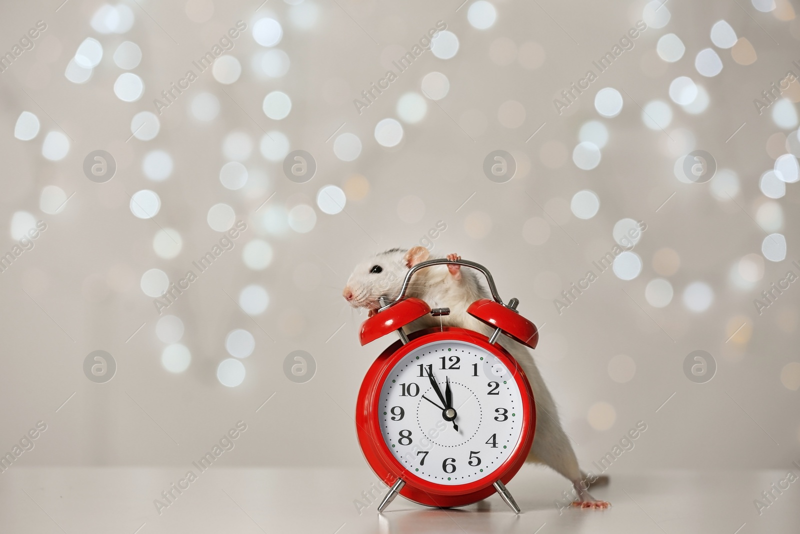 Photo of Cute little rat and alarm clock against blurred lights. Chinese New Year symbol