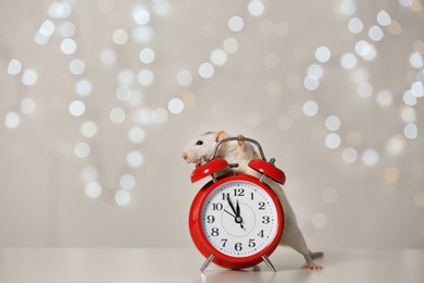 Cute little rat and alarm clock against blurred lights. Chinese New Year symbol