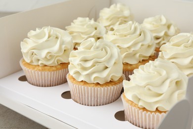 Photo of Tasty cupcakes with vanilla cream in box, closeup