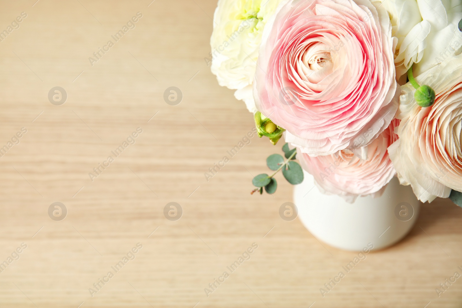 Photo of Beautiful spring ranunculus flowers in vase on wooden table. Space for text