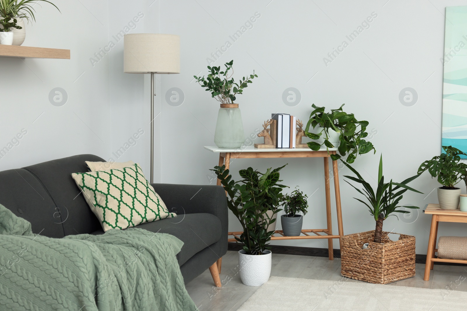 Photo of Beautiful living room interior with green houseplants and comfortable furniture