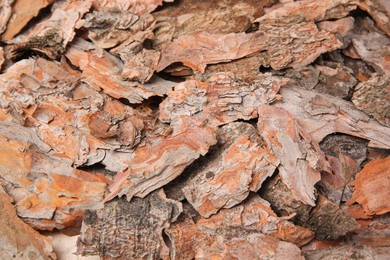 Photo of Many tree bark pieces as background, closeup