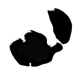 Blobs of black oil isolated on white, top view