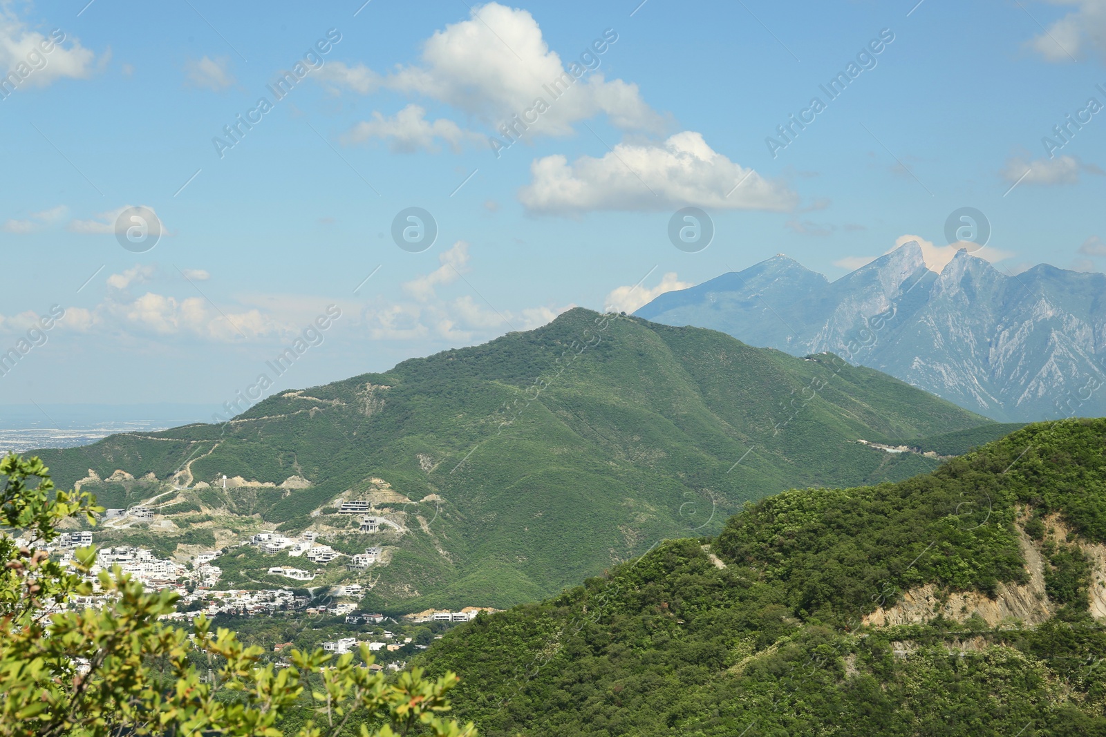 Photo of Picturesque view of big mountains and trees under cloudy sky
