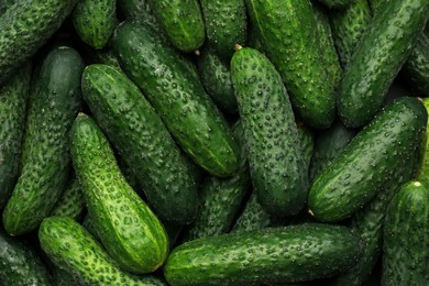 Photo of Fresh whole ripe cucumbers as background, top view