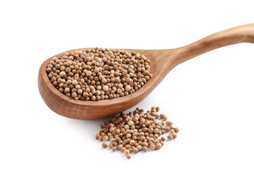 Dried coriander seeds with wooden spoon on white background