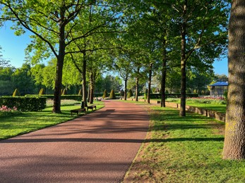 Photo of Park with beautiful plants, benches and pathway on sunny day. Spring season