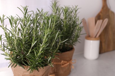 Aromatic green rosemary in pot on white table, closeup