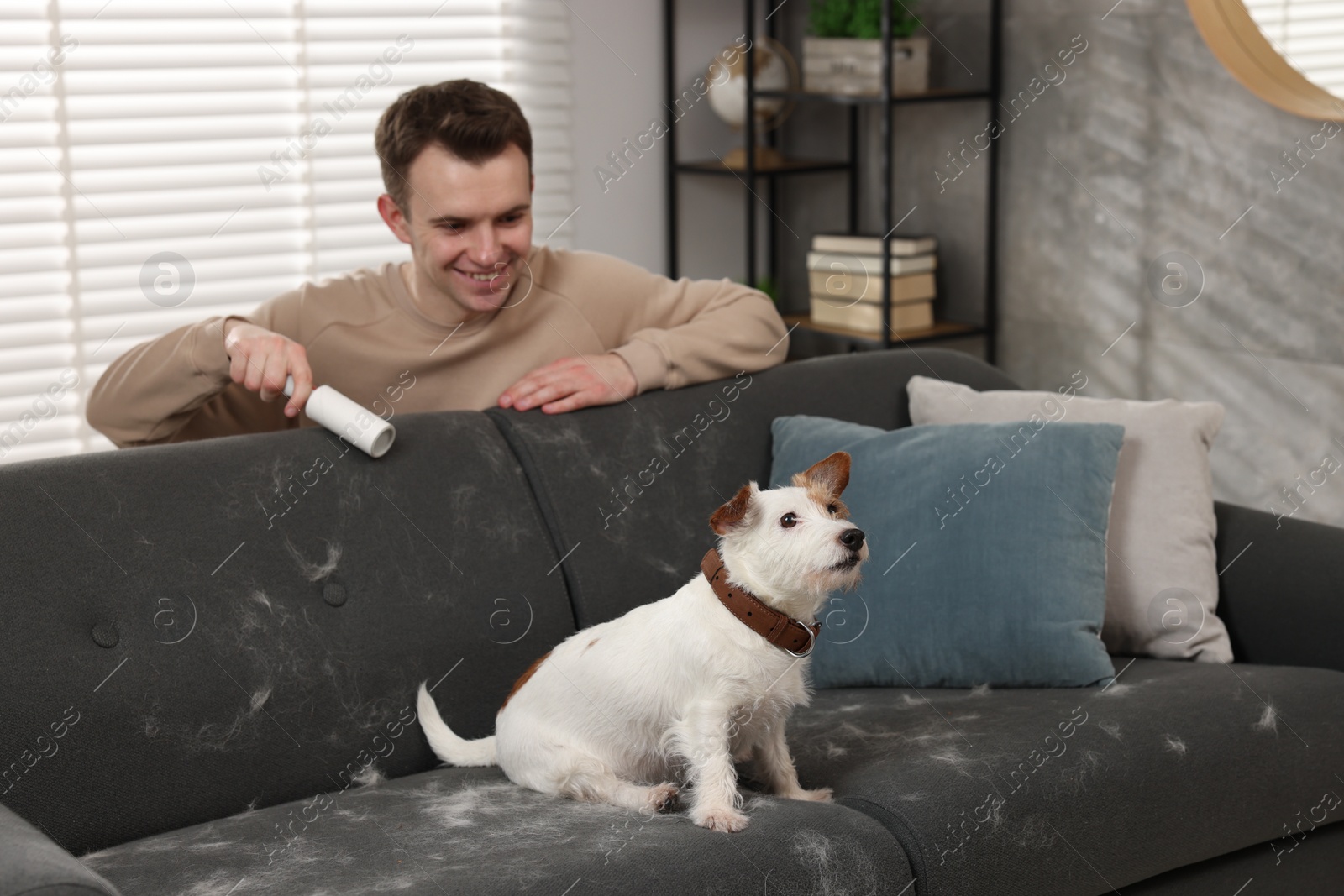 Photo of Pet shedding. Smiling man with lint roller removing dog's hair from sofa at home