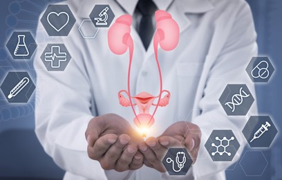 Image of Doctor holding virtual image of urinary system and different icons, closeup