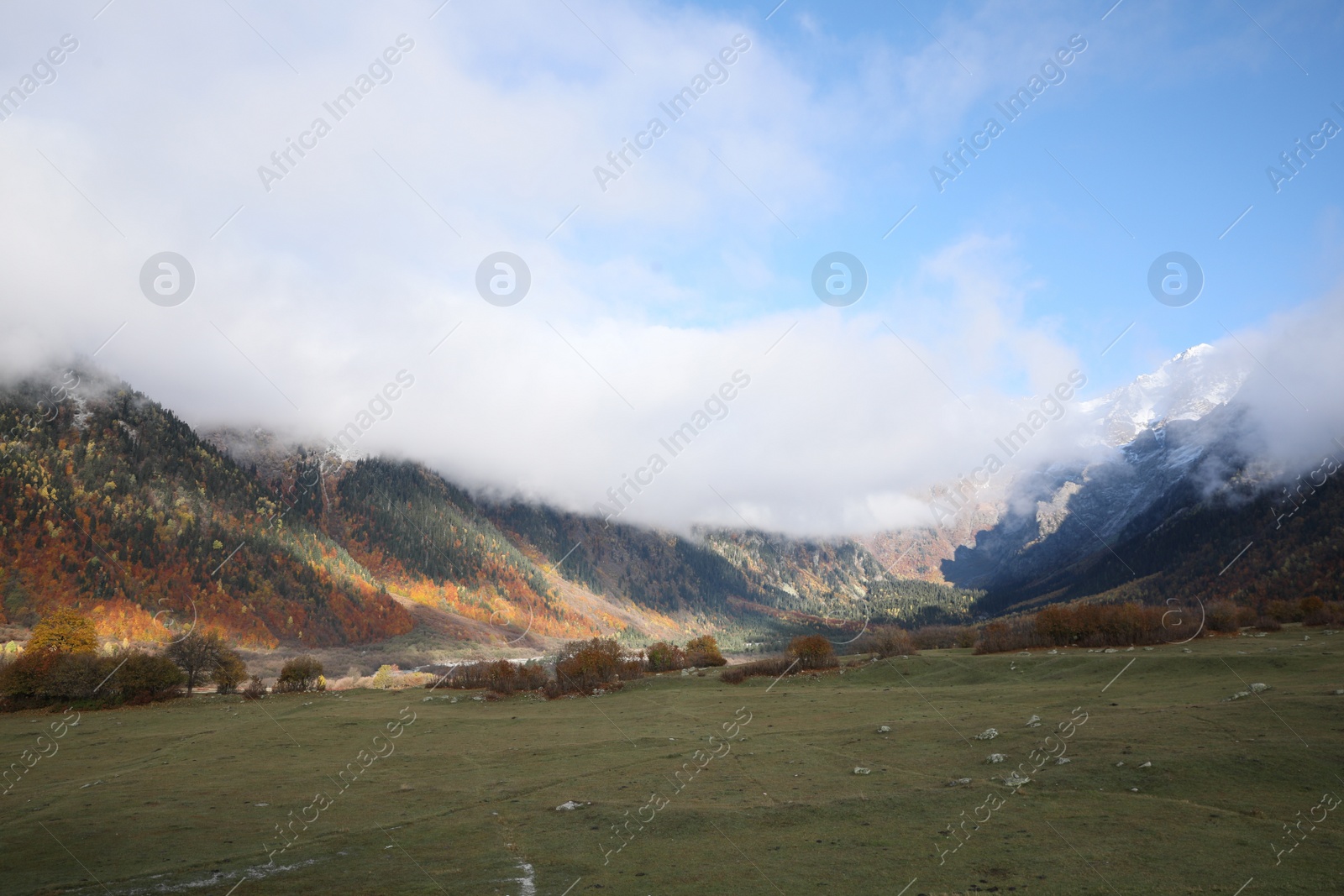 Photo of Picturesque view of mountains with forest and meadow on autumn day