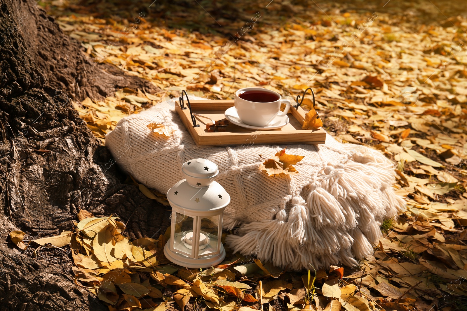 Photo of Plaid with wooden tray, cup of tea and lantern near tree in park on sunny autumn day