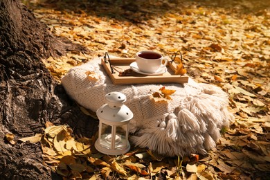 Plaid with wooden tray, cup of tea and lantern near tree in park on sunny autumn day