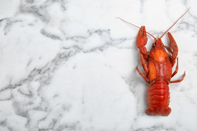 Photo of Delicious boiled crayfish on white marble table, top view. Space for text