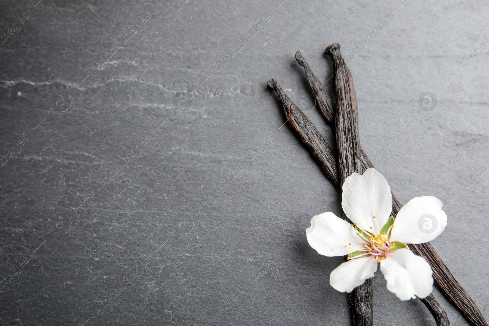 Photo of Aromatic vanilla sticks and flower on grey background. Space for text