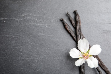 Photo of Aromatic vanilla sticks and flower on grey background. Space for text