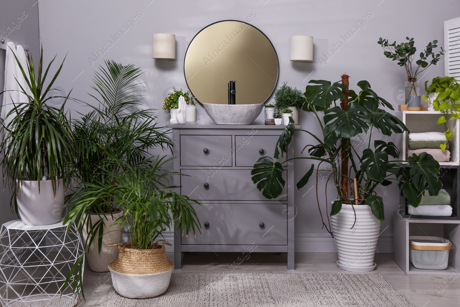 Photo of Stylish bathroom interior with modern furniture and beautiful green houseplants