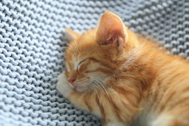 Sleeping cute little red kitten on light blue blanket, closeup view